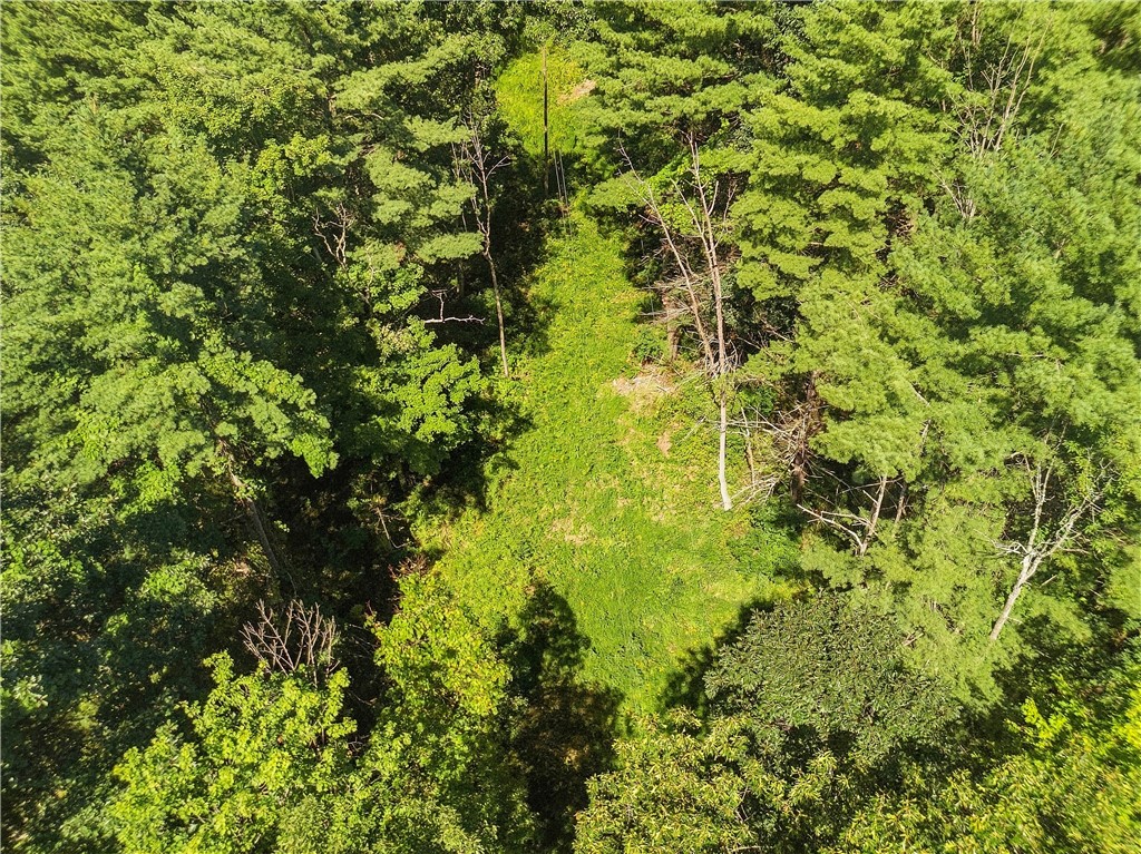 River Road Lindley, NY 14858 - Photo 16 of 21 Gallery Image 16