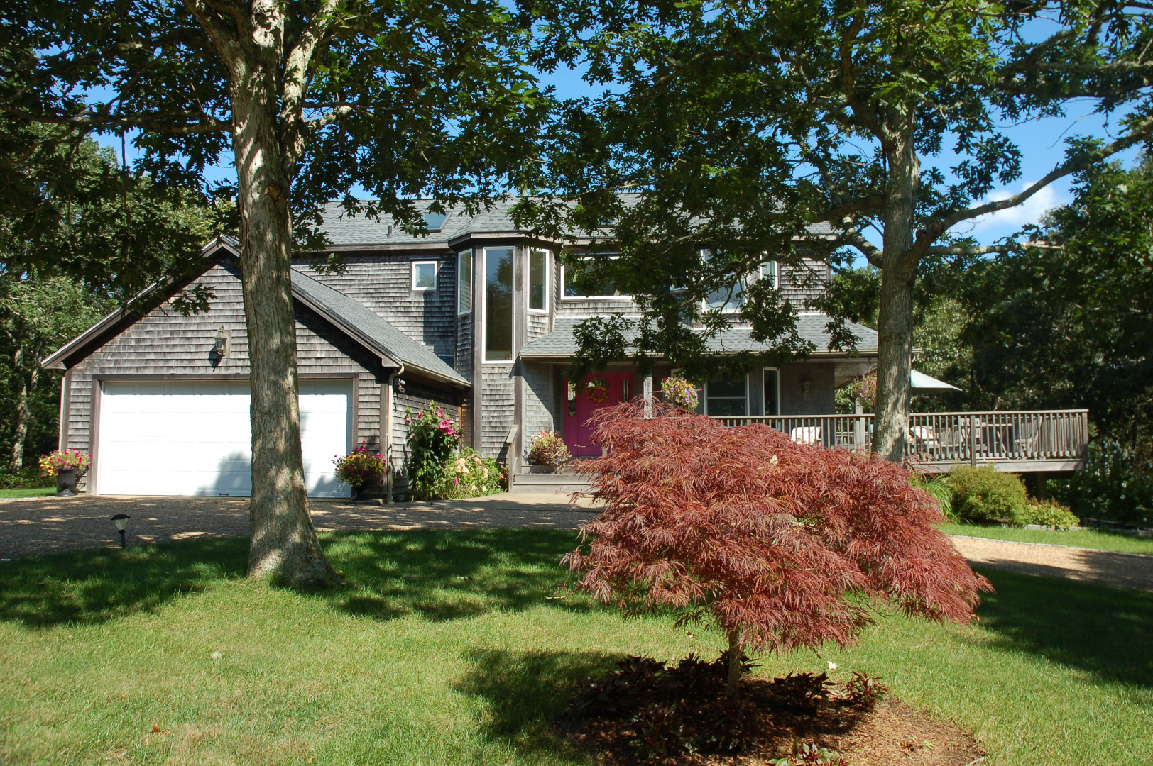 18 Dodgers Hole Road Edgartown, MA 02539 - Photo 5 of 72 Japanese Maple