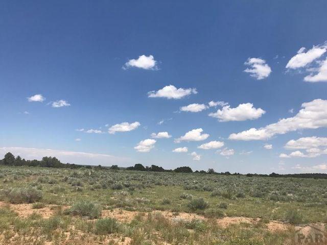 Lot 66 Turkey Ridge Ranch Walsenburg, CO 81089 - Photo 4 of 9