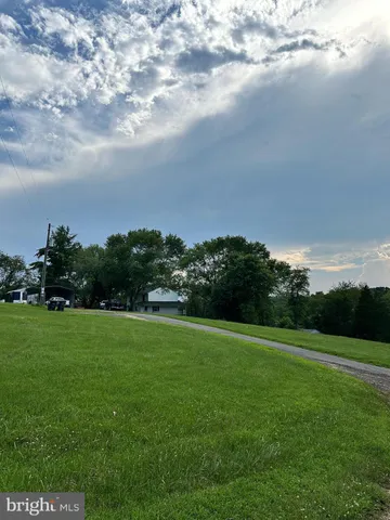 a view of a big yard with a large trees