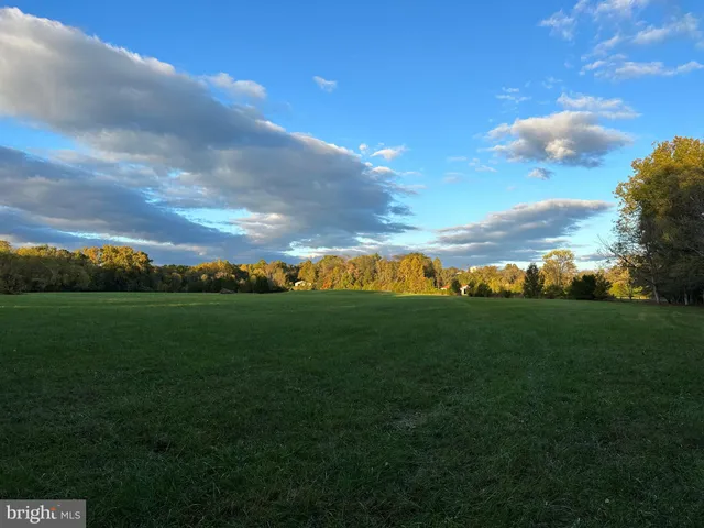a view of a big yard with large trees