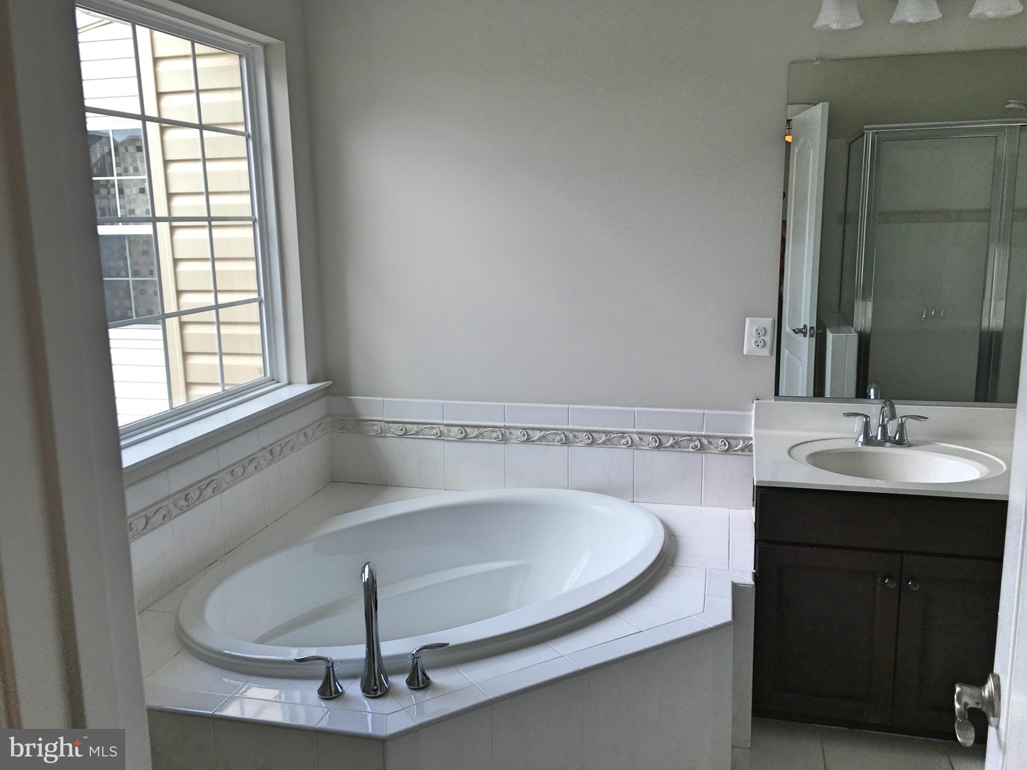23018 Meadow Mist Road Clarksburg, MD 20871 - Photo 16 of 20 Bath (Master)