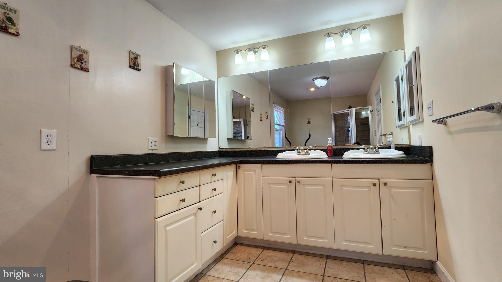46 Currant Drive Newark, DE 19702 - Photo 31 of 47 a bathroom with a sink and a mirror