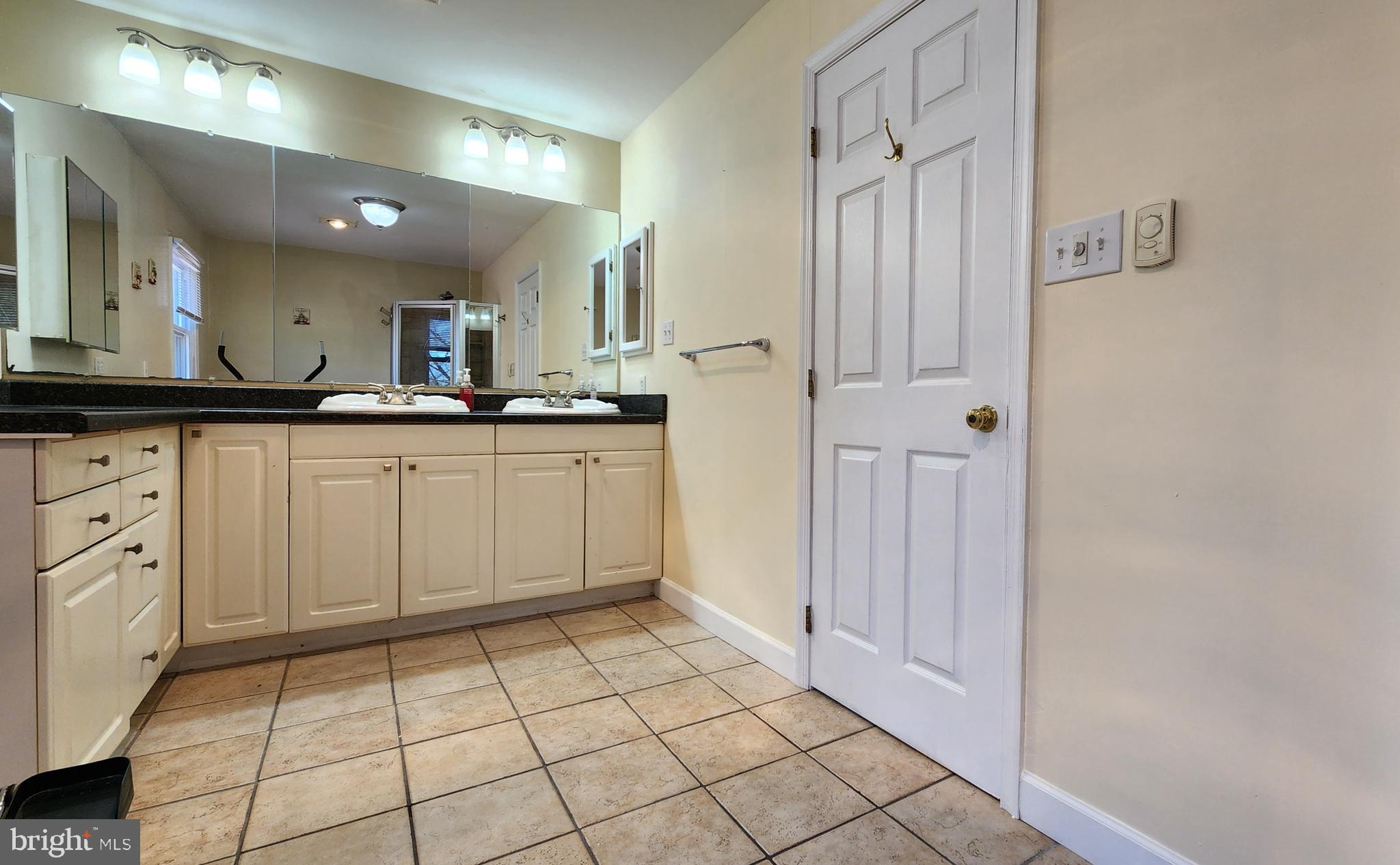 46 Currant Drive Newark, DE 19702 - Photo 32 of 47 a spacious bathroom with a sink a mirror and a shower