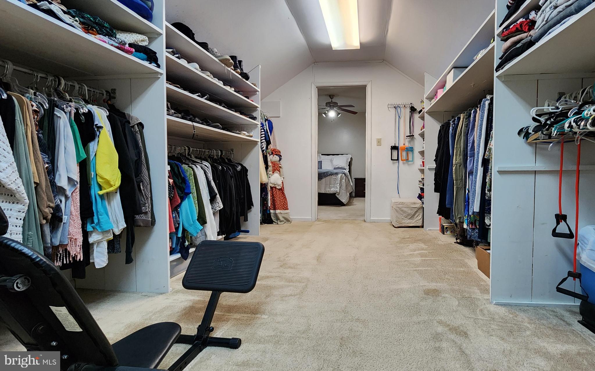 46 Currant Drive Newark, DE 19702 - Photo 36 of 47 a view of walk in closet with clothes and shoes