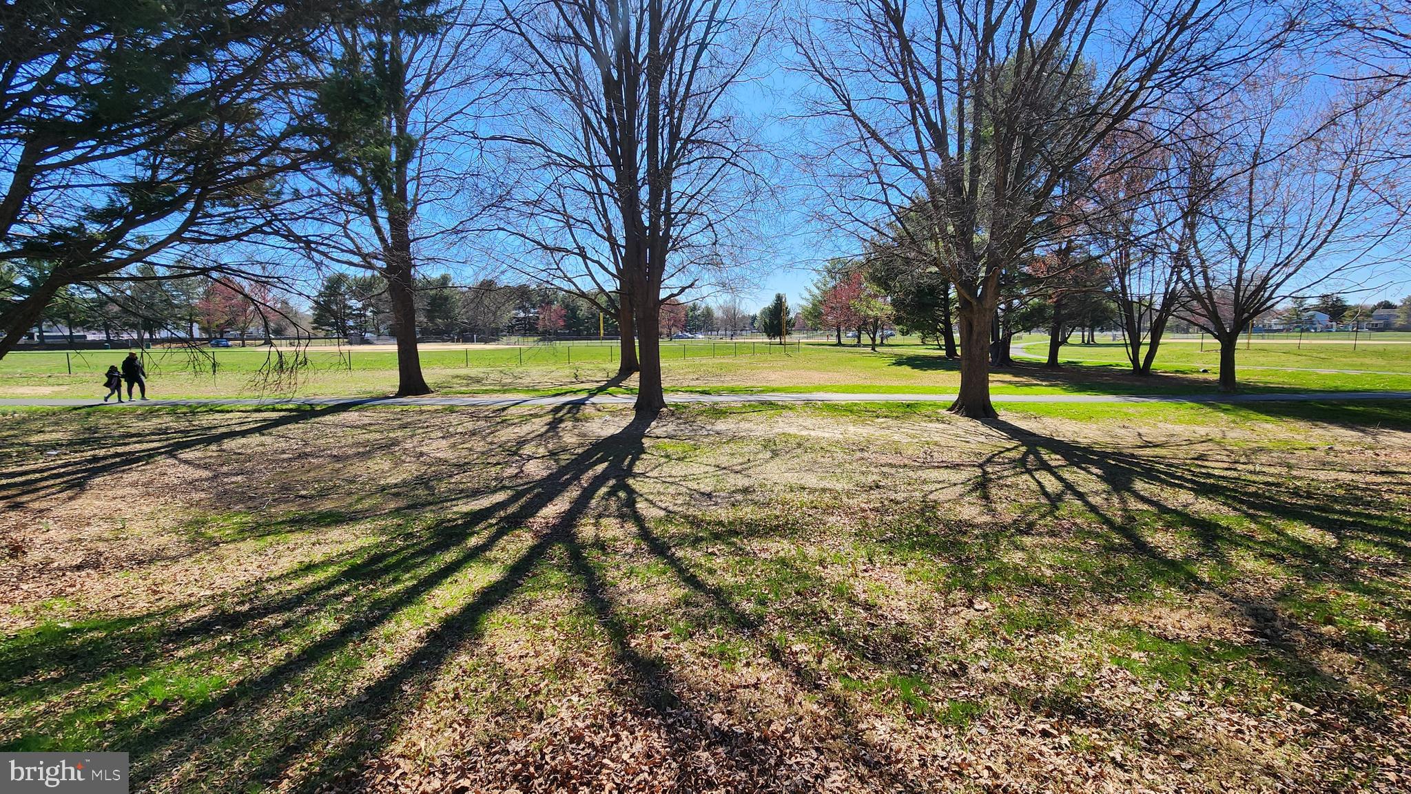 46 Currant Drive Newark, DE 19702 - Photo 8 of 47 a view of a park with large trees