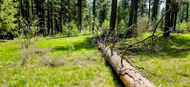 $150,000 | 36 Hiatt Circle, Idaho City, ID 83631