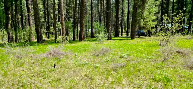 $150,000 | 36 Hiatt Circle, Idaho City, ID 83631