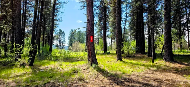 $150,000 | 36 Hiatt Circle, Idaho City, ID 83631