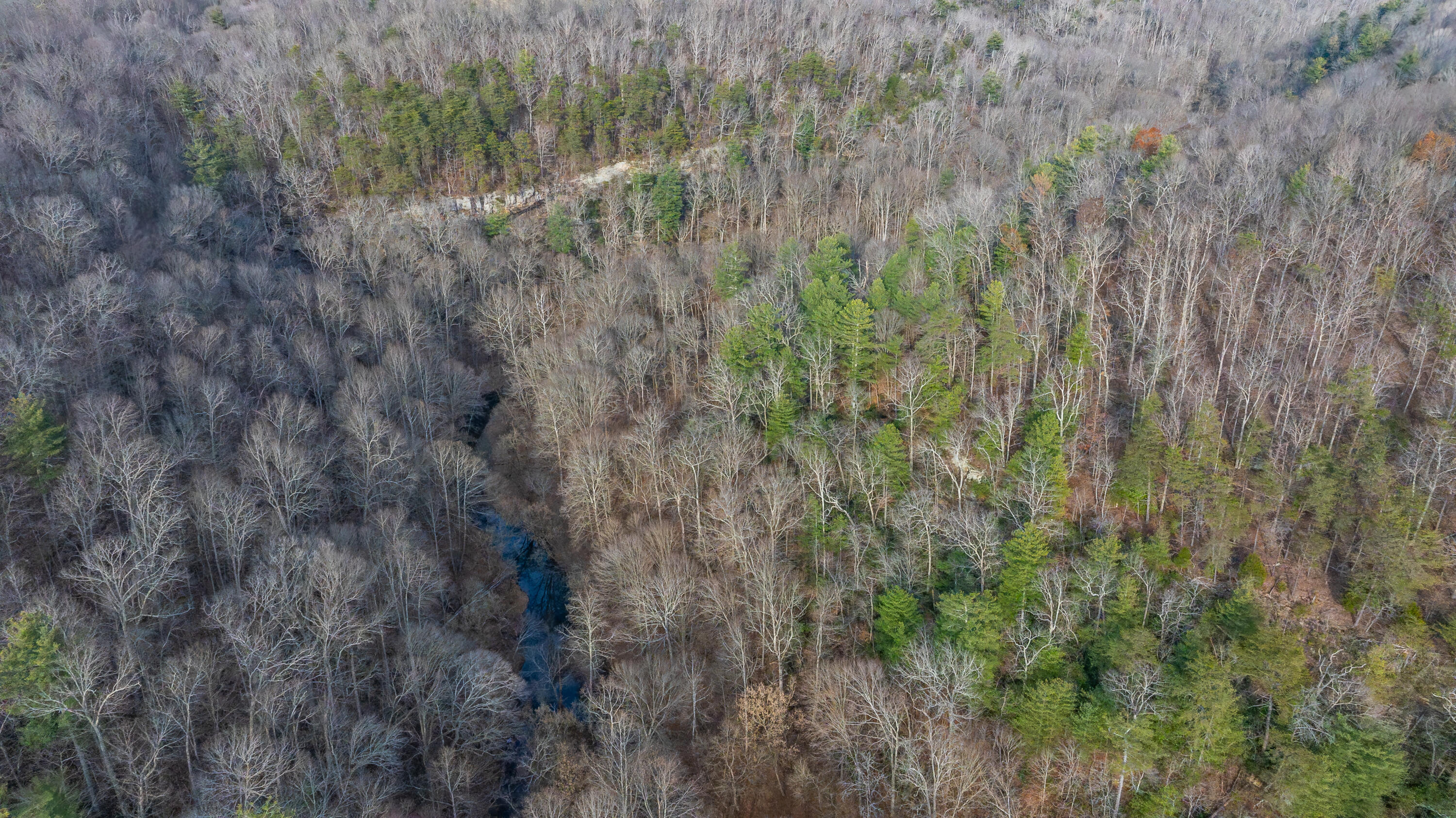 0 Coal Bank Road Sharon Grove, KY 42280 - Photo 7 of 16 DJI_20251212142231_0170_D-HDR