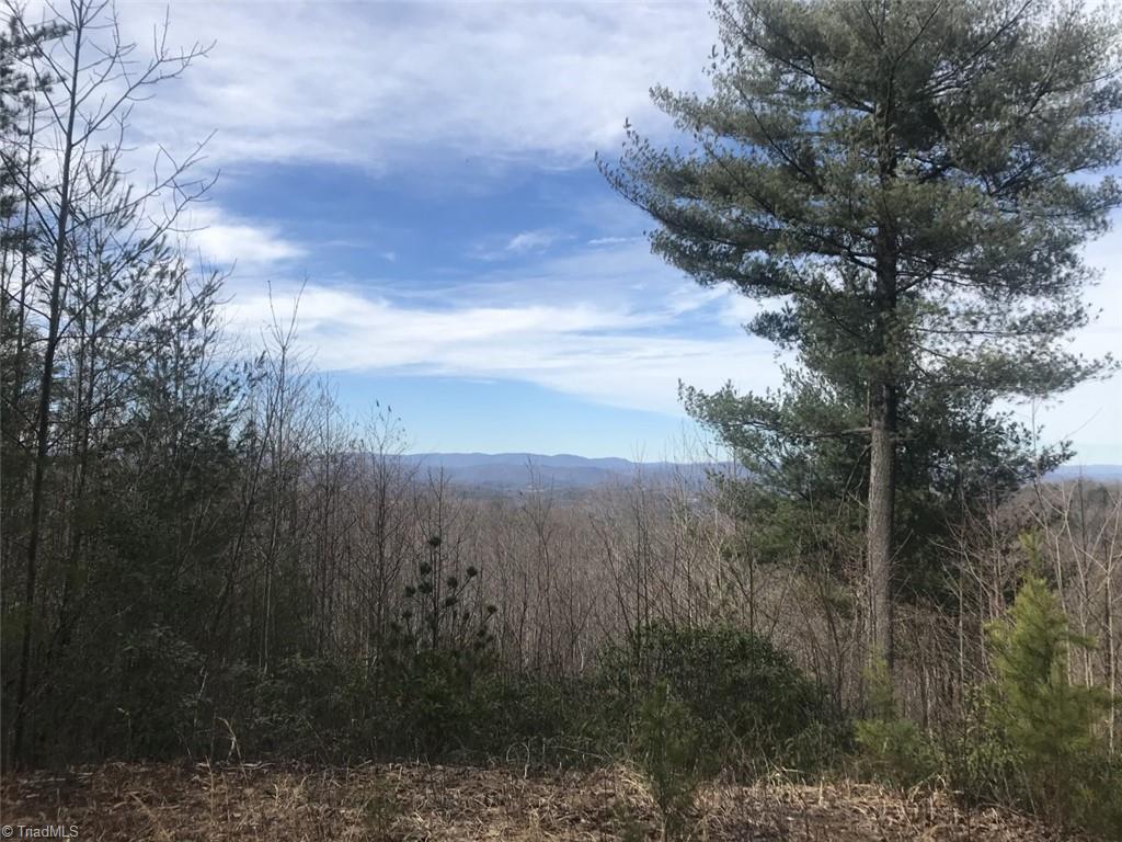 Lot 16 Sweetwater Road Boomer, NC 28606 - Photo 1 of 7 Gallery Image 1