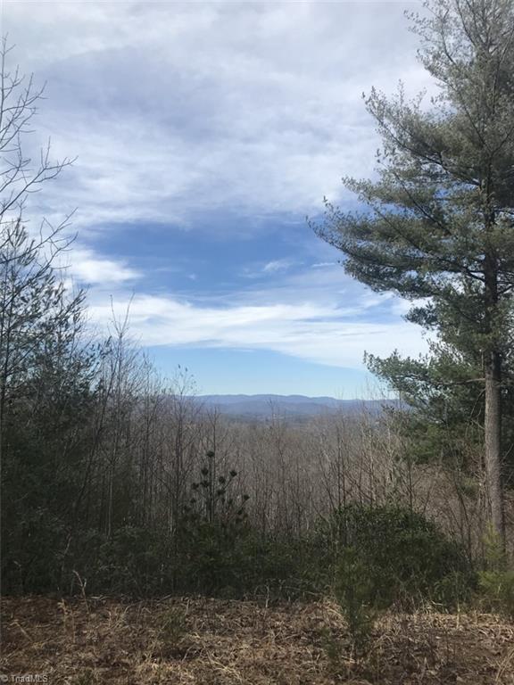 Lot 16 Sweetwater Road Boomer, NC 28606 - Photo 2 of 7 Gallery Image 2