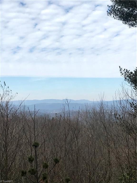 Lot 16 Sweetwater Road Boomer, NC 28606 - Photo 3 of 7 Gallery Image 3