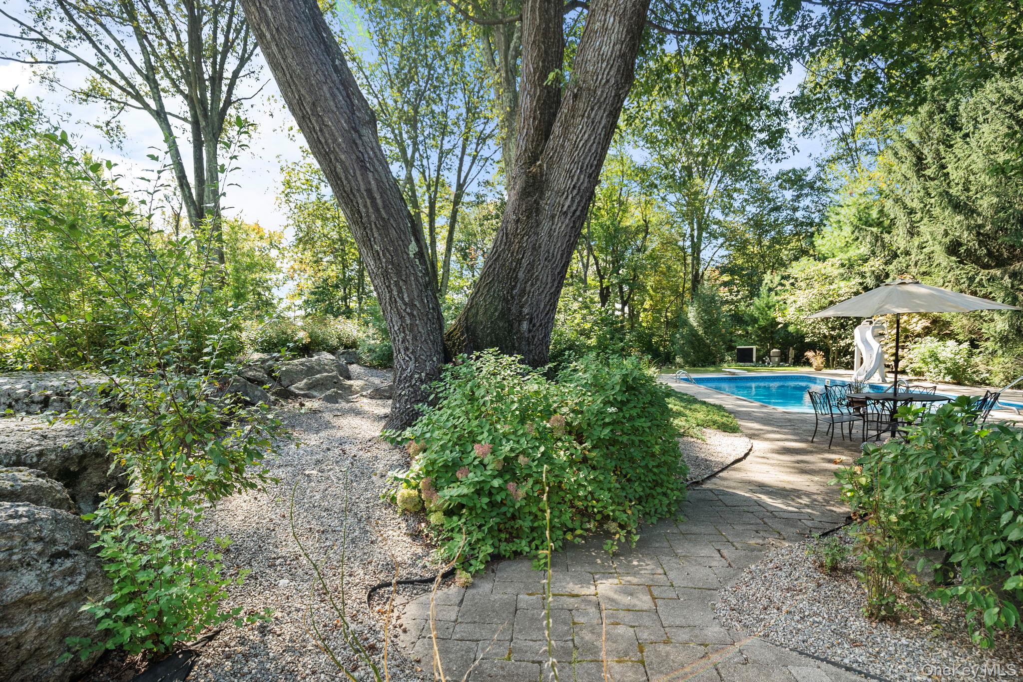 6 Ridge Circle Mahopac, NY 10541 - Photo 41 of 49 a view of a yard with plants and large trees
