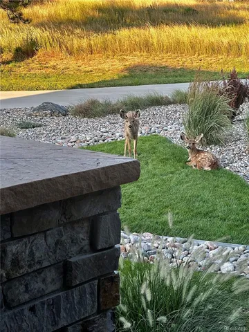 $3,900,000 | 8436 Lost Reserve Court, Parker, CO 80134