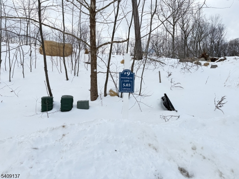 9 Bristol Ridge Boonton, NJ 07005 - Photo 3 of 3 a view of outdoor space yard