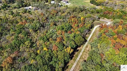 $61,000 | Lot 6 Main Street Road, Sedalia, MO 65301