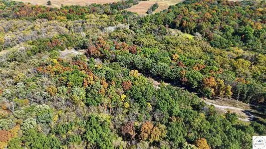 $61,000 | Lot 6 Main Street Road, Sedalia, MO 65301