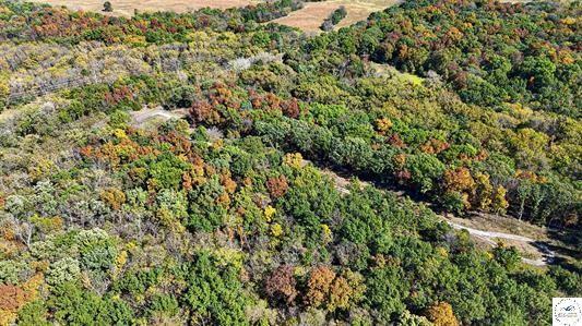 Lot 6 Main Street Road Sedalia, MO 65301 - Photo 3 of 4