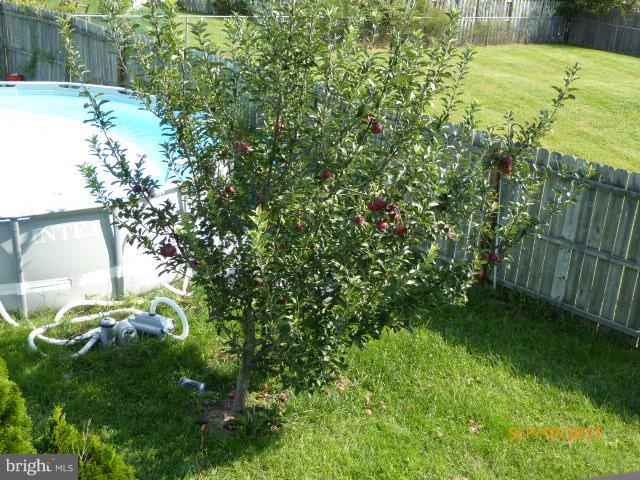 80 Briar Run Drive Ranson, WV 25438 - Photo 23 of 30 Apple Tree