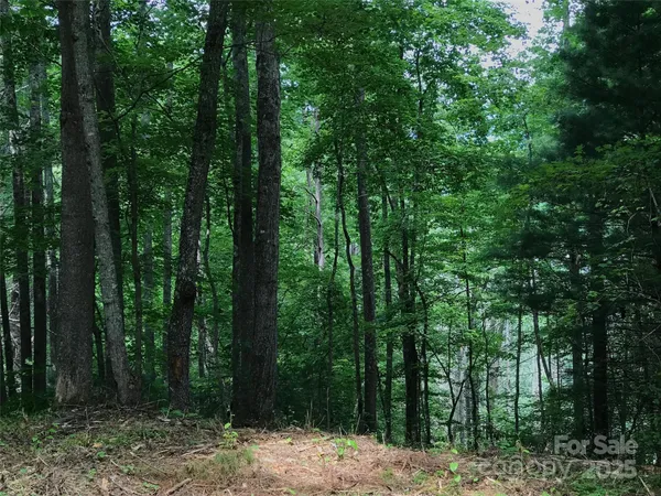 $40,000 | 68 Fallsbrook Drive, Tuckasegee, NC 28783