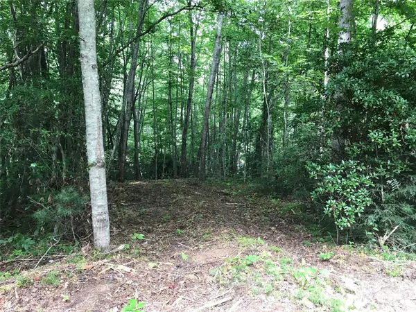 $40,000 | 68 Fallsbrook Drive, Tuckasegee, NC 28783