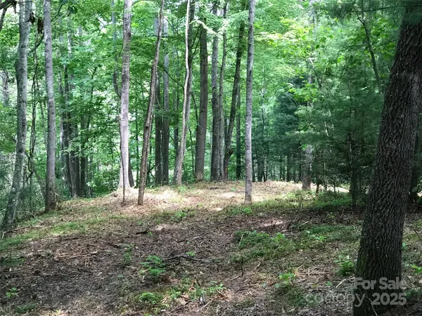 $40,000 | 68 Fallsbrook Drive, Tuckasegee, NC 28783