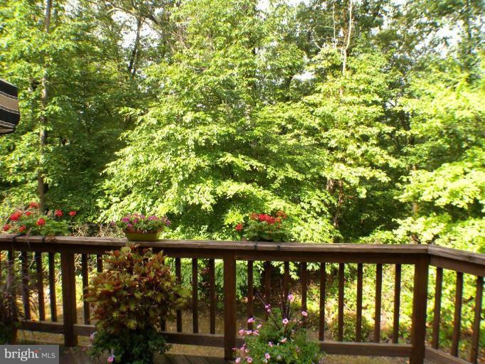 8176 Mississippi Road Laurel, MD 20724 - Photo 3 of 6 Deck - View from