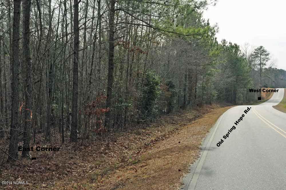 0 West Old Spring Hope Road Middlesex, NC 27557 - Photo 1 of 6 roy's3