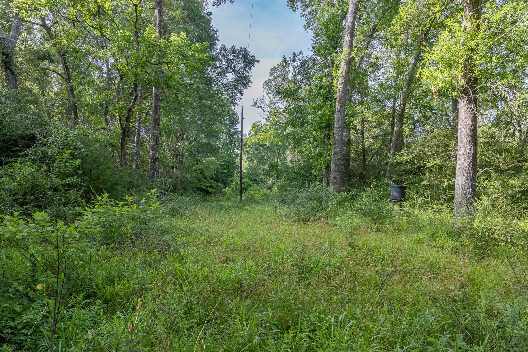 Tbd Schoenst Road Carmine, TX 78932 - Photo 11 of 25 a view of outdoor space and green space