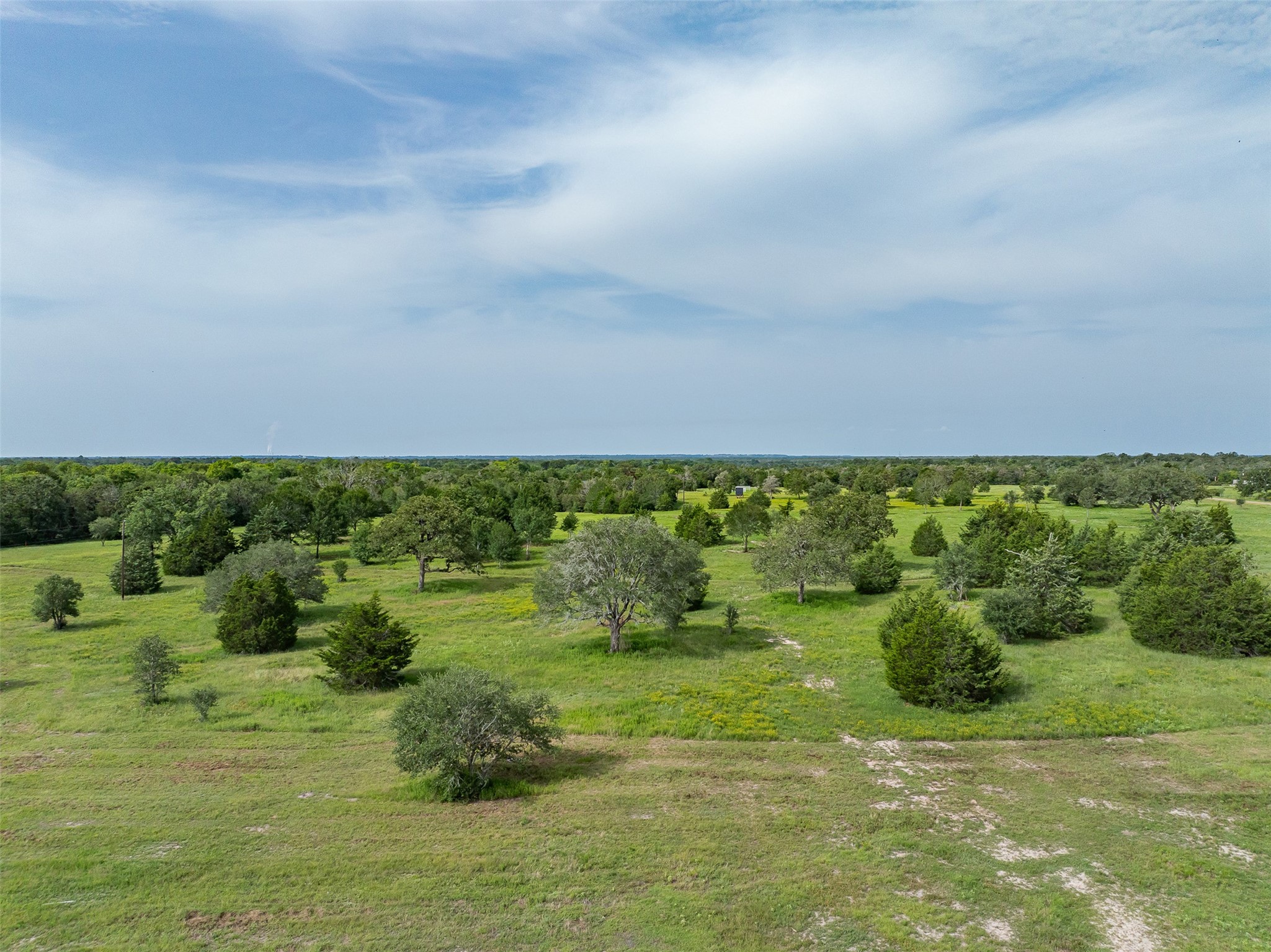 Tbd Schoenst Road Carmine, TX 78932 - Photo 23 of 25 a view of a green field with lots of green space