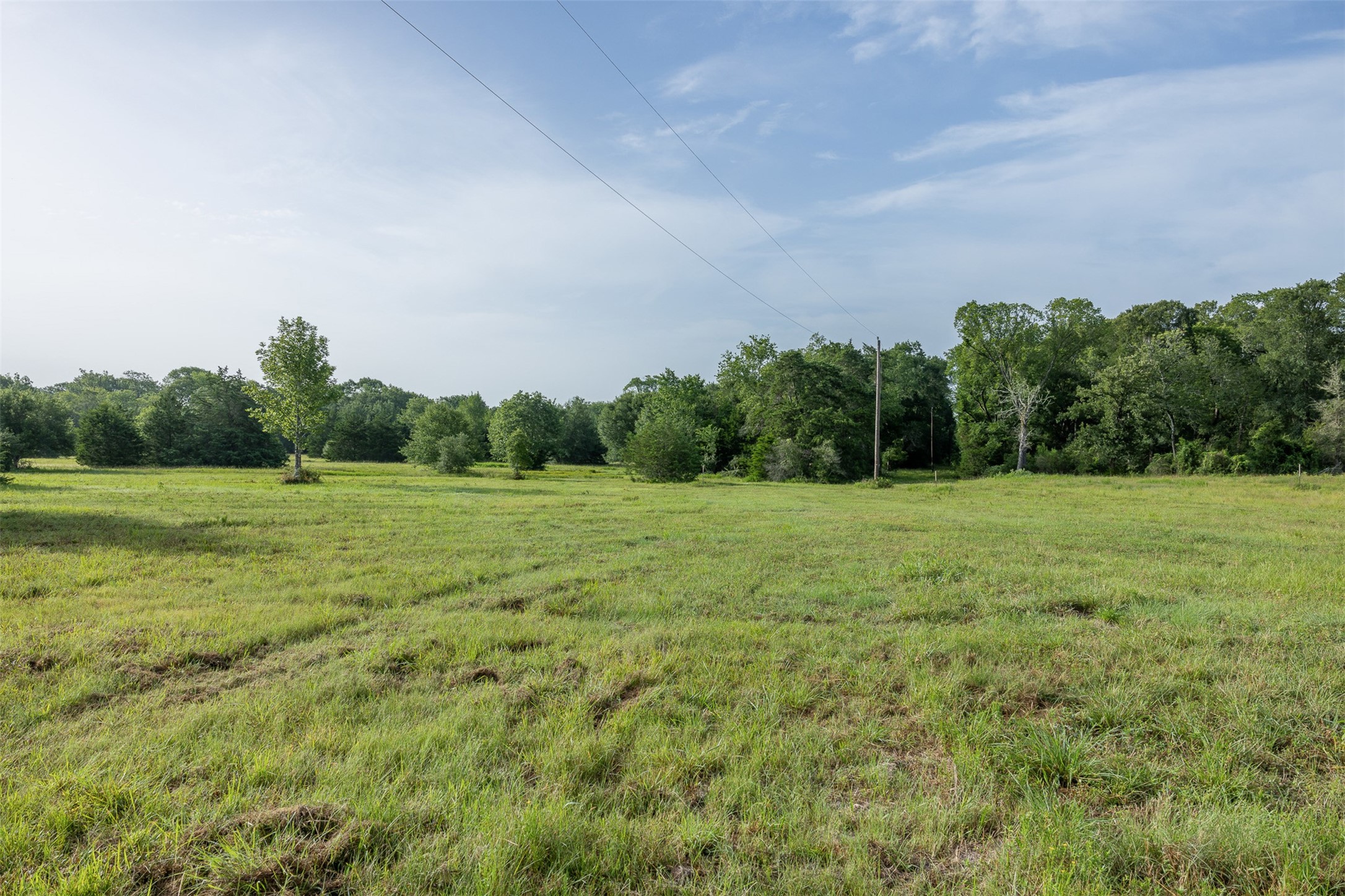 Tbd Schoenst Road Carmine, TX 78932 - Photo 3 of 25 a view of a green field with wooden fence