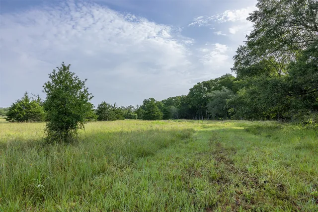 a view of field with trees in the background