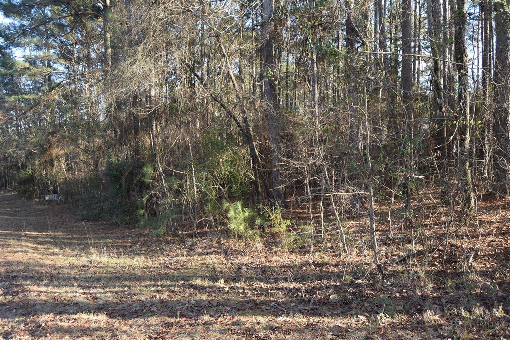 Lot # Timberline Drive Minden, LA 71055 - Photo 5 of 6 a backyard of a house with lots of green space