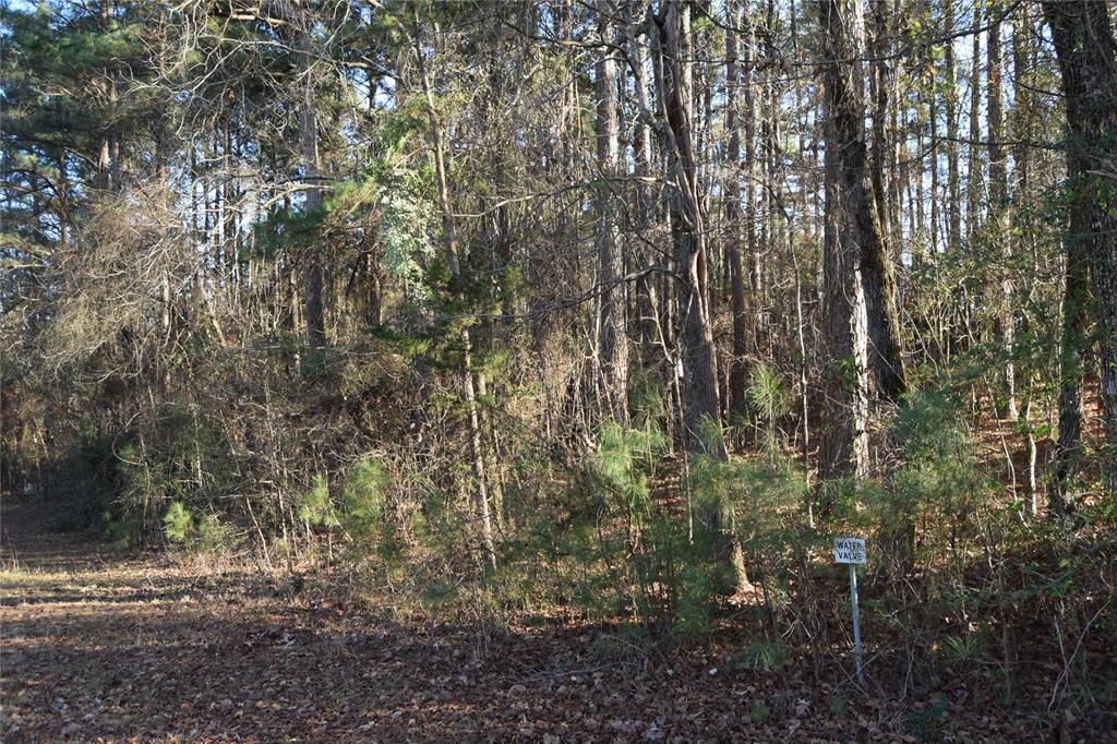 Lot # Timberline Drive Minden, LA 71055 - Photo 6 of 6 a view of forest