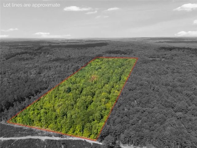 a view of a garden with an outdoor space