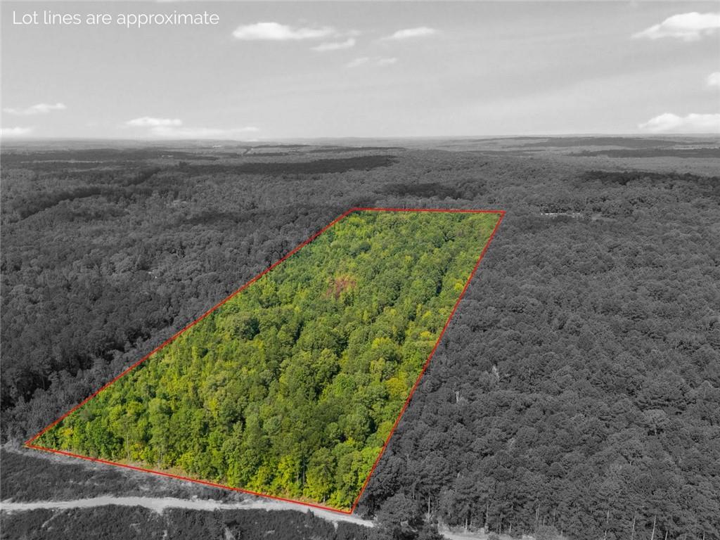 0 Drummond Road Franklin, GA 30217 - Photo 1 of 11 a view of a garden with an outdoor space