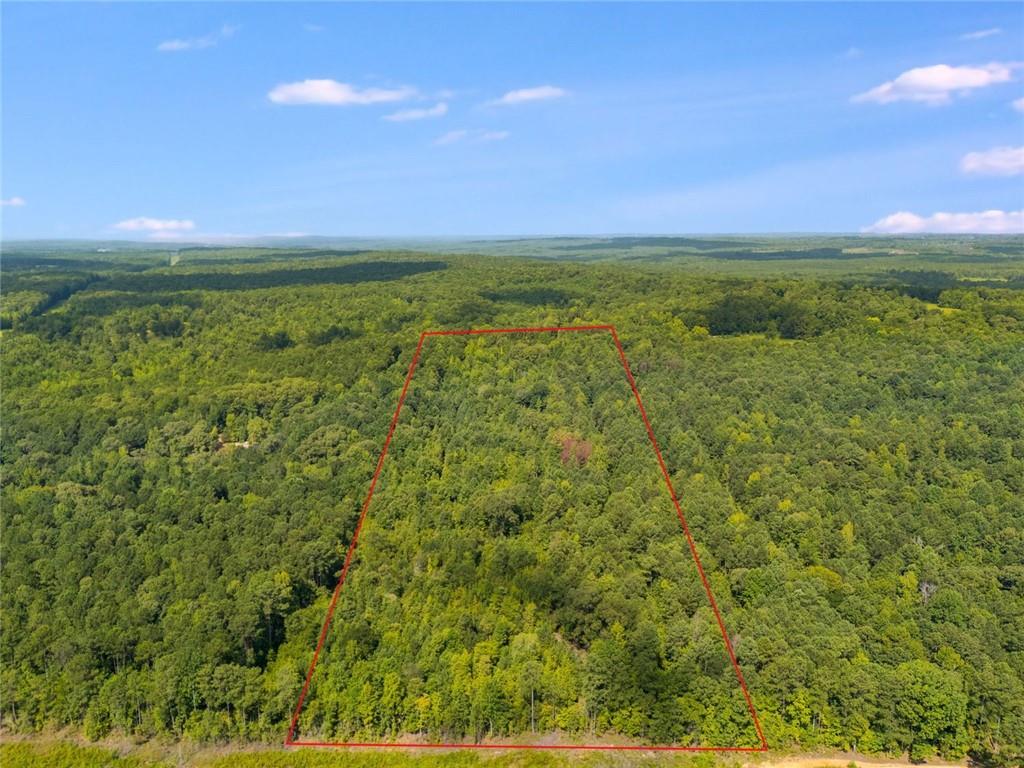 0 Drummond Road Franklin, GA 30217 - Photo 2 of 11 a view of a big yard with lots of green space