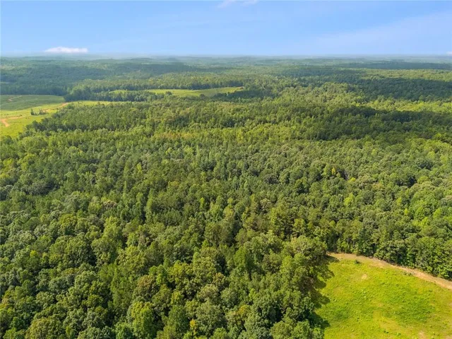 a view of yard with ocean view