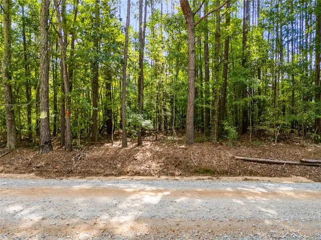 a view of a yard with plants and trees