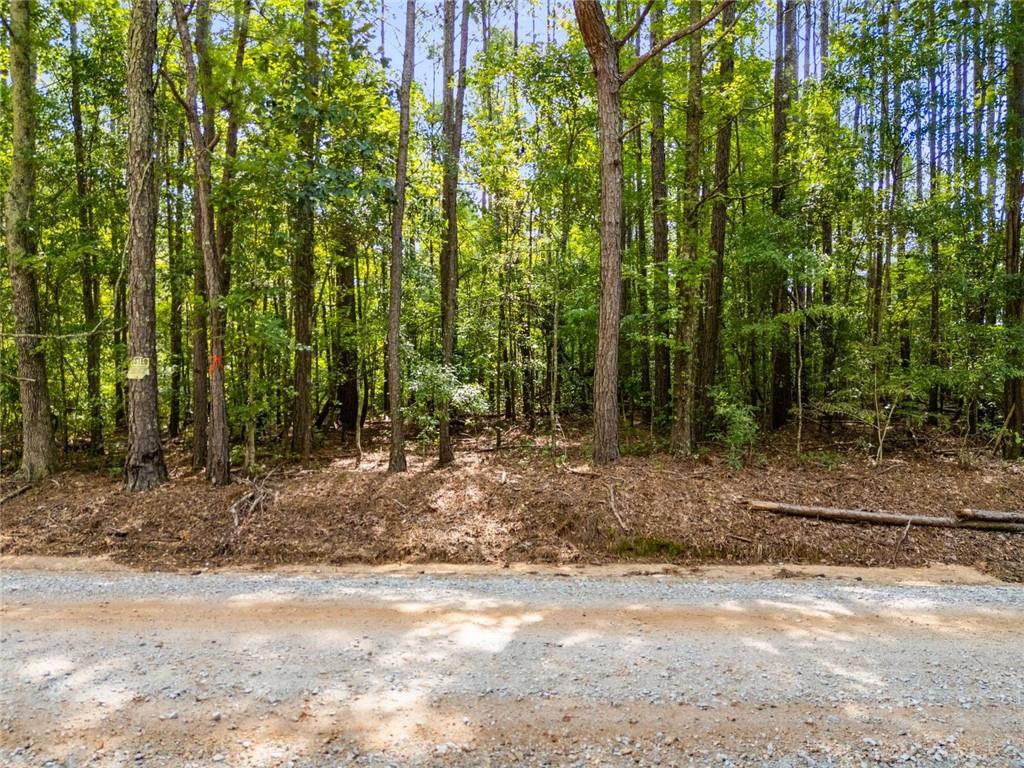 0 Drummond Road Franklin, GA 30217 - Photo 5 of 11 a view of a yard with plants and trees