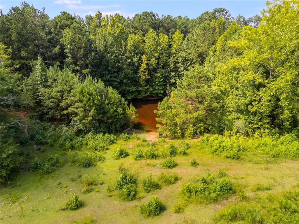 0 Drummond Road Franklin, GA 30217 - Photo 7 of 11 a view of a large yard with green space