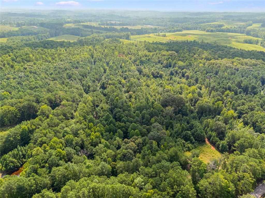 0 Drummond Road Franklin, GA 30217 - Photo 8 of 11 a view of a city with an ocean