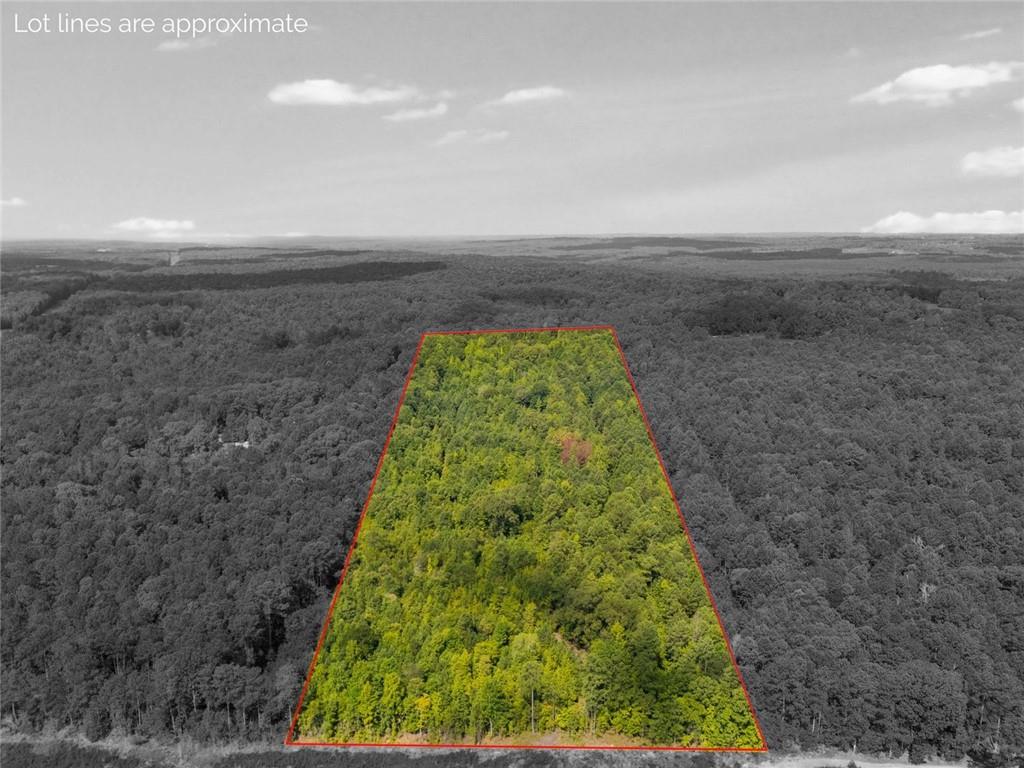 0 Drummond Road Franklin, GA 30217 - Photo 9 of 11 a view of a yard