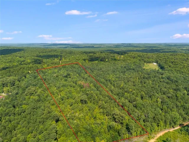 a view of a green field with lots of trees in the background