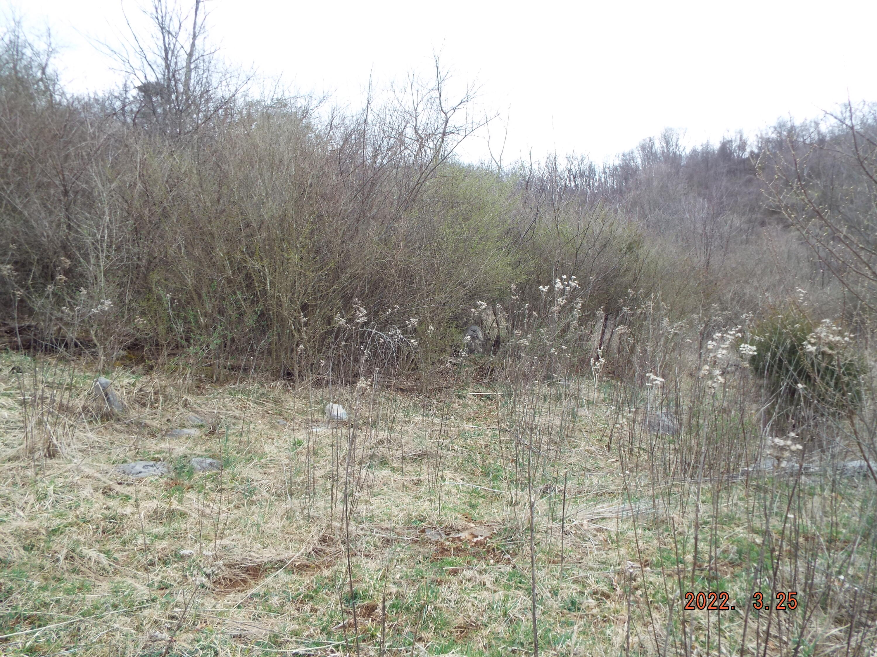Mcelhenny Road Lewisburg, WV 24901 - Photo 6 of 7 Gallery Image 6