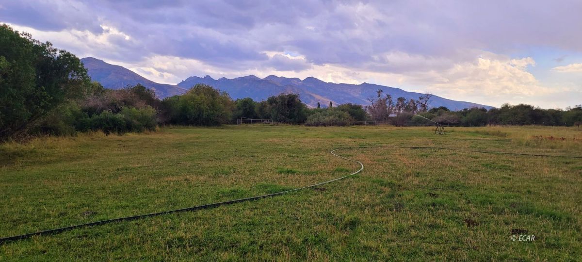 Tbd Blume Ranch Road Lamoille, NV 89828 - Photo 1 of 12