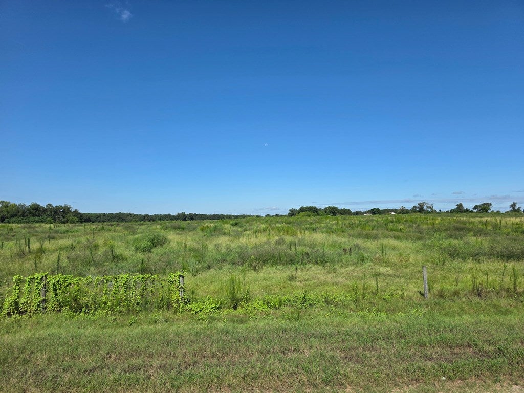 11.5-acres J Saunders Road Dothan, AL 36303 - Photo 4 of 4 Gallery Image 4
