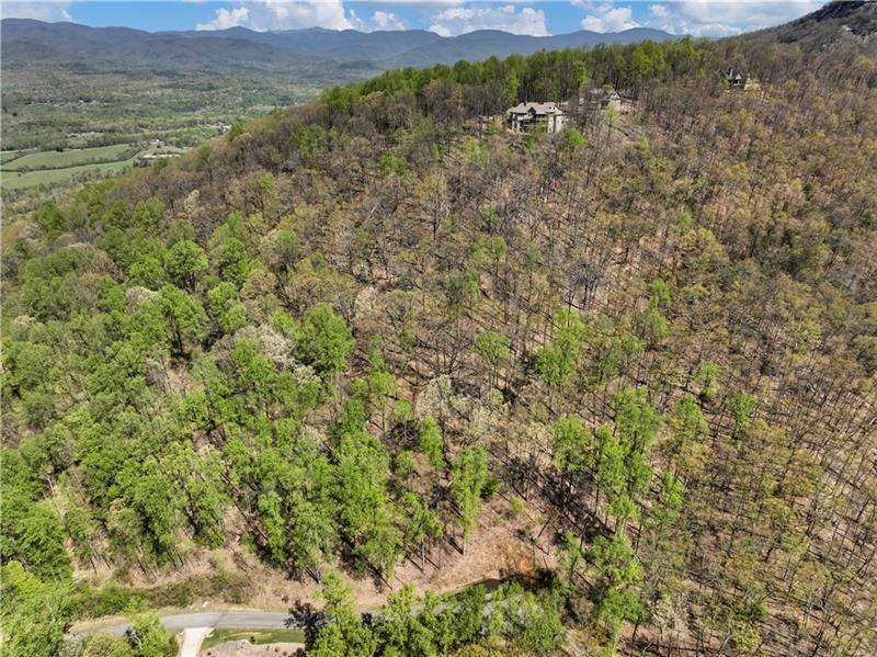 0 Stone Clf Trace Cleveland, GA 30528 - Photo 2 of 22