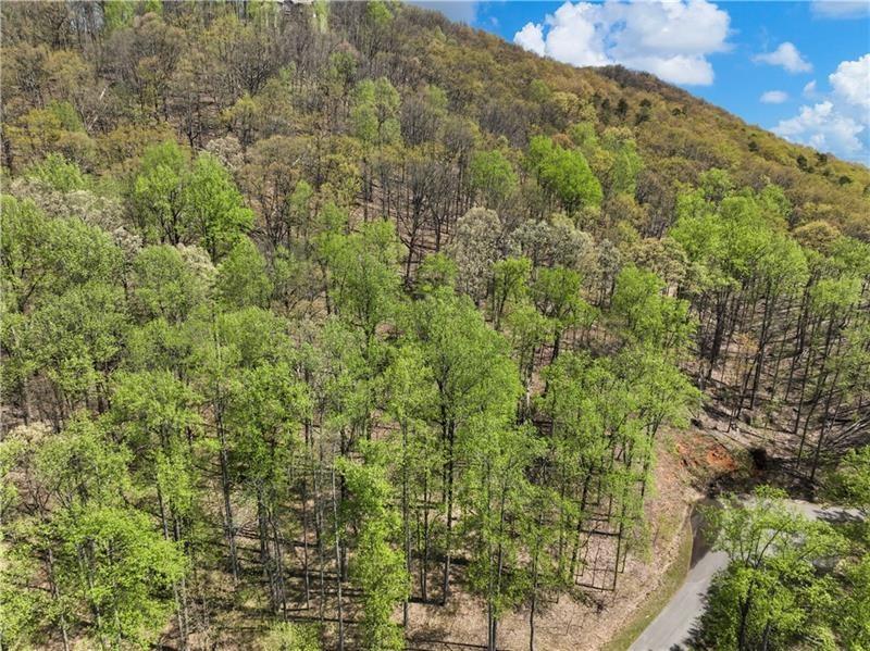 0 Stone Clf Trace Cleveland, GA 30528 - Photo 3 of 22